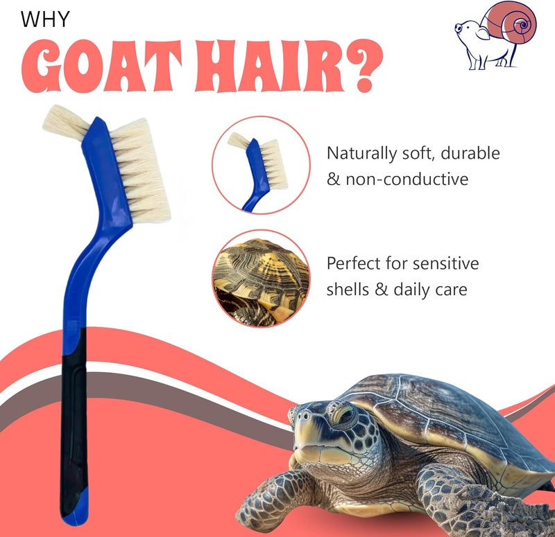 Snout and Shell Turtle Cleaning Brush - Gently Remove Dirt from Turtles and Tortoises - Blue by - Image 3